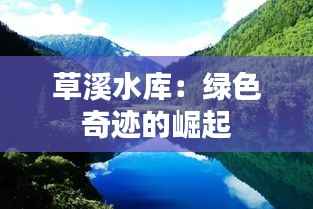 草溪水库:绿色奇迹的崛起