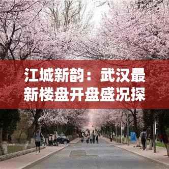 江城新韵:武汉最新楼盘开盘盛况探秘