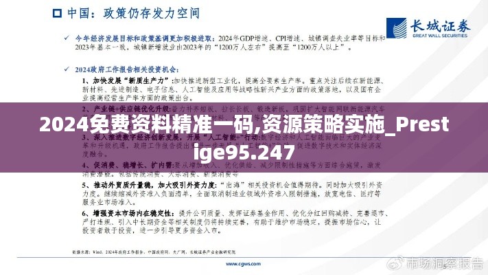 2024免费资料精准一码,资源策略实施_Prestige95.247