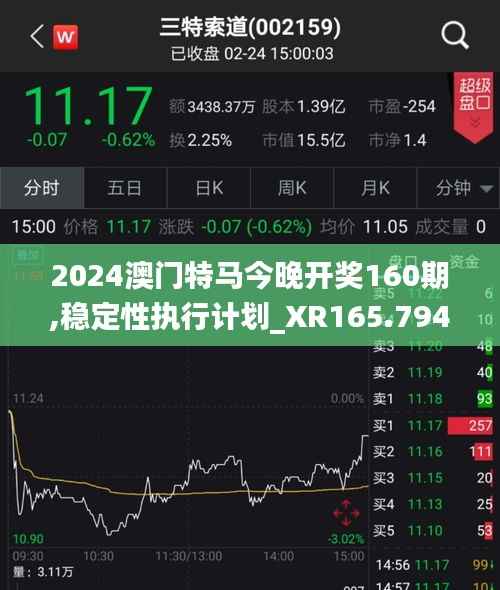 2024澳门特马今晚开奖160期,稳定性执行计划_XR165.794