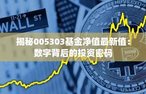 揭秘005303基金净值最新值：数字背后的投资密码