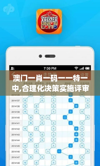 澳门一肖一码一一特一中,合理化决策实施评审_WP110.713