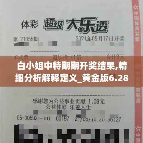 白小姐中特期期开奖结果,精细分析解释定义_黄金版6.280