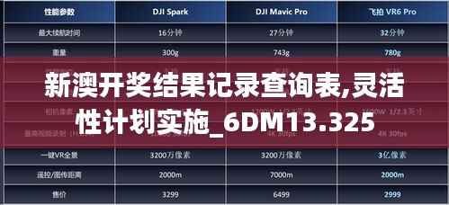 新澳开奖结果记录查询表,灵活性计划实施_6DM13.325