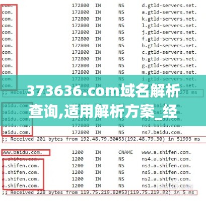 373636.com域名解析查询,适用解析方案_经典版7.933
