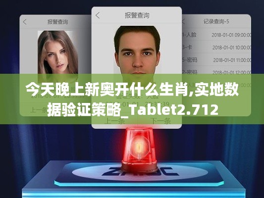 今天晚上新奥开什么生肖,实地数据验证策略_Tablet2.712