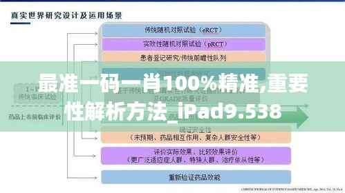 最准一码一肖100%精准,重要性解析方法_iPad9.538
