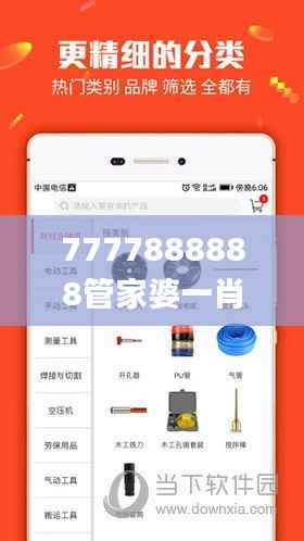 7777888888管家婆一肖,快速方案执行_钻石版15.925