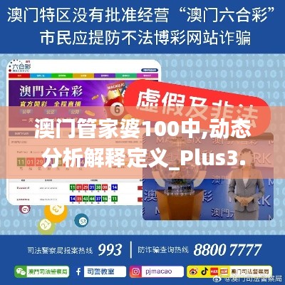 澳门管家婆100中,动态分析解释定义_Plus3.134