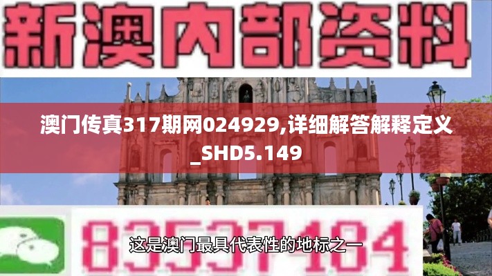 澳门传真317期网024929,详细解答解释定义_SHD5.149