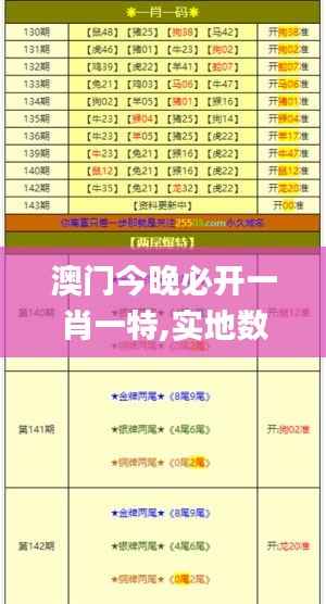 澳门今晚必开一肖一特,实地数据评估方案_经典款8.974