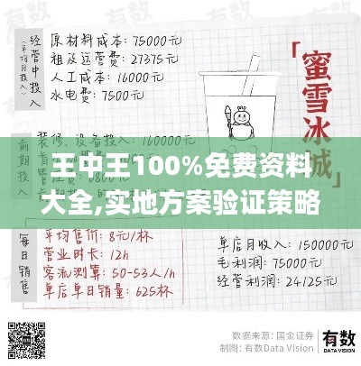 王中王100%免费资料大全,实地方案验证策略_标准版4.625