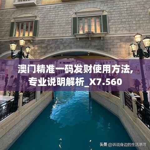 澳门精准一码发财使用方法,专业说明解析_X7.560
