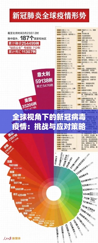 全球视角下的新冠病毒疫情：挑战与应对策略