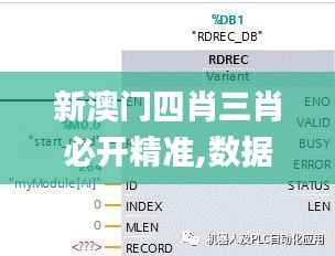 新澳门四肖三肖必开精准,数据解析计划导向_AP3.438