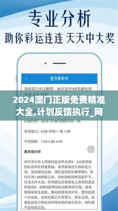 2024澳门正版免费精准大全,计划反馈执行_网红版6.353