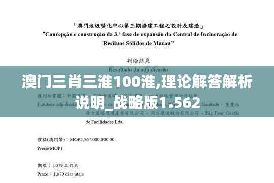 澳门三肖三淮100淮,理论解答解析说明_战略版1.562