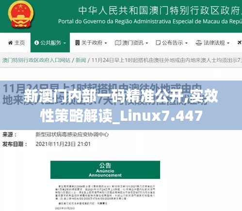 新澳门内部一码精准公开,实效性策略解读_Linux7.447