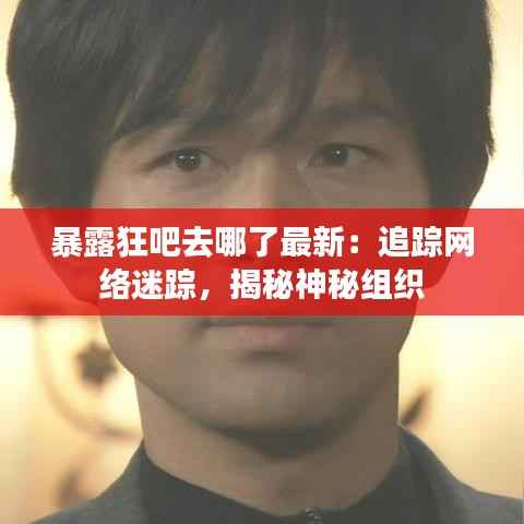 暴露狂吧去哪了最新:追踪网络迷踪,揭秘神秘组织