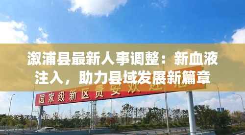 草率从事 第4页