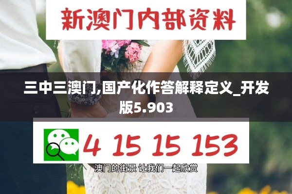 三中三澳门,国产化作答解释定义_开发版5.903