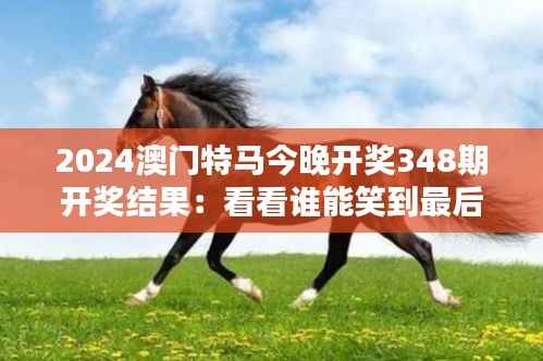 2024澳门特马今晚开奖348期开奖结果：看看谁能笑到最后