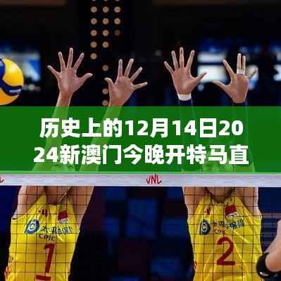 历史上的12月14日2024新澳门今晚开特马直播:一个全新时代的悄然开启