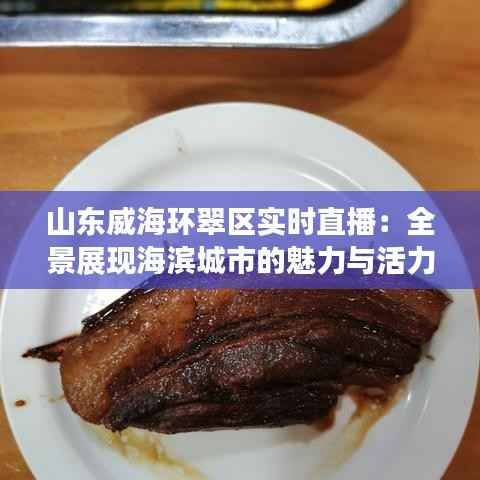 山东威海环翠区实时直播：全景展现海滨城市的魅力与活力
