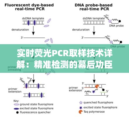 实时荧光PCR取样技术详解:精准检测的幕后功臣