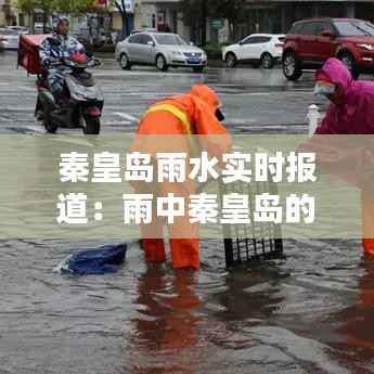 秦皇岛雨水实时报道:雨中秦皇岛的美丽与挑战