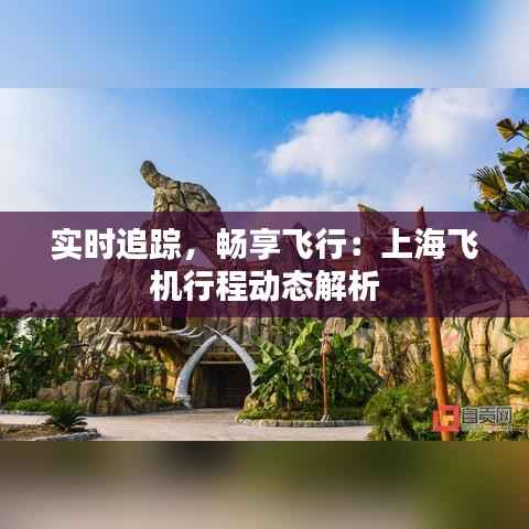 实时追踪,畅享飞行:上海飞机行程动态解析