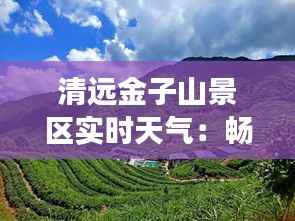 清远金子山景区实时天气:畅游自然,尽享清新时光
