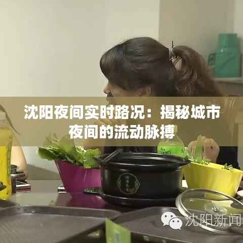 沈阳夜间实时路况:揭秘城市夜间的流动脉搏