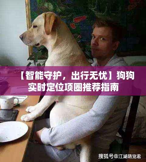 【智能守护,出行无忧】狗狗实时定位项圈推荐指南