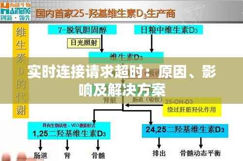 实时连接请求超时:原因、影响及解决方案