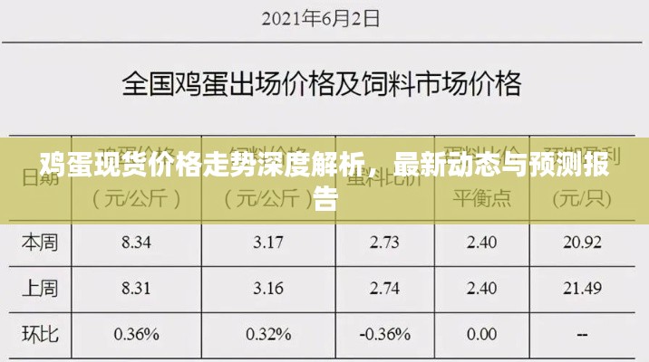 鸡蛋现货价格走势深度解析，最新动态与预测报告
