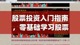 股票投资入门指南,零基础学习股票投资知识攻略!