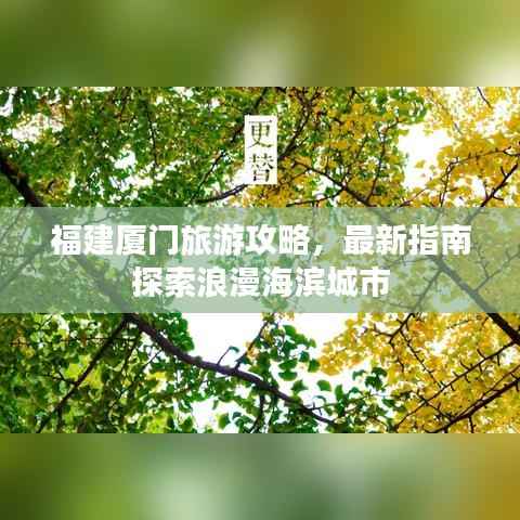 福建厦门旅游攻略,最新指南探索浪漫海滨城市