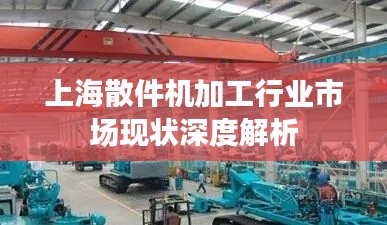 上海散件机加工行业市场现状深度解析