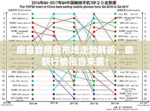 房县食用菌市场走势解析,最新行情报告来袭!