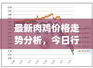 最新肉鸡价格走势分析,今日行情动态及市场趋势解读