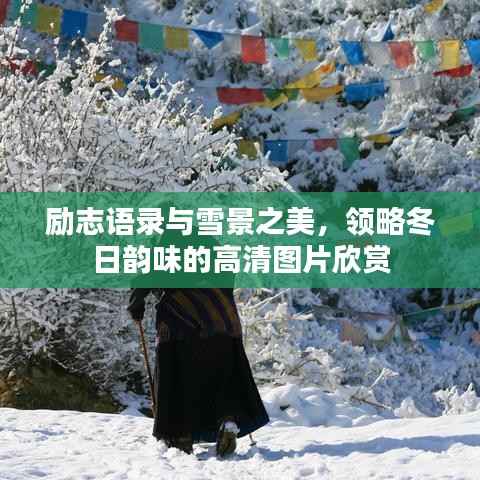 励志语录与雪景之美,领略冬日韵味的高清图片欣赏