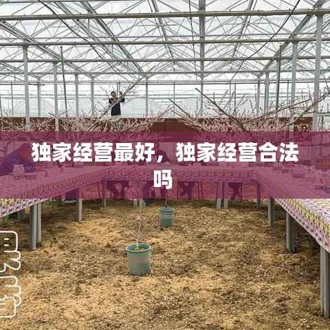 独家经营最好,独家经营合法吗