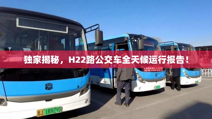 独家揭秘,H22路公交车全天候运行报告!