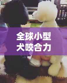 全球小型犬咬合力榜单揭晓,萌犬也藏惊人咬合力!