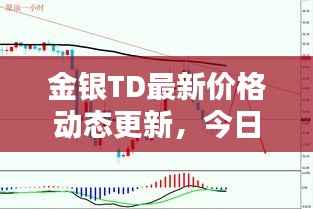 金银TD最新价格动态更新,今日行情一览