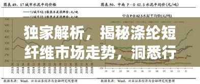 独家解析,揭秘涤纶短纤维市场走势,洞悉行情趋势