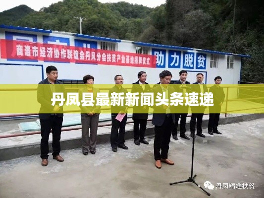 丹凤县最新新闻头条速递