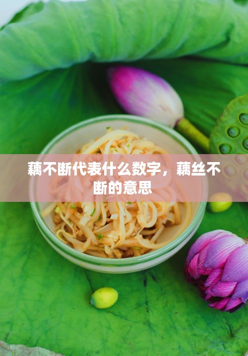 藕不断代表什么数字,藕丝不断的意思