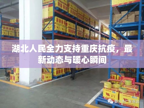 湖北人民全力支持重庆抗疫,最新动态与暖心瞬间